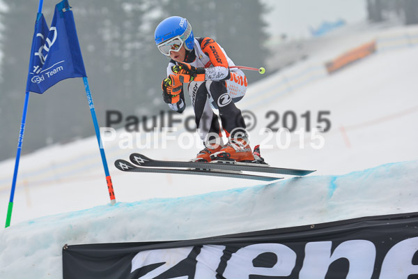 DSC U12 Finale 2015