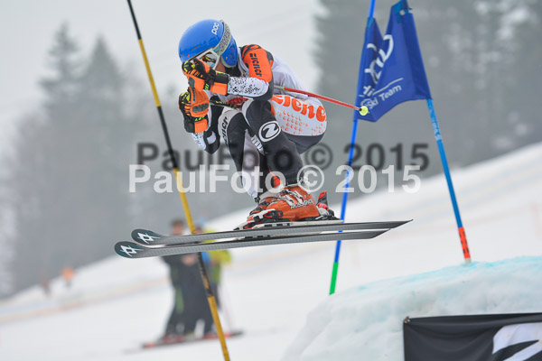 DSC U12 Finale 2015