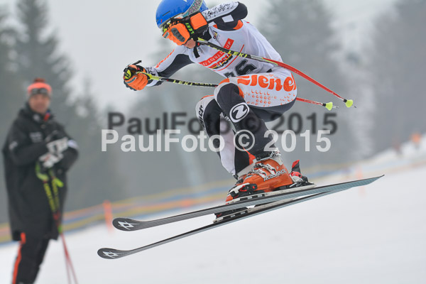 DSC U12 Finale 2015