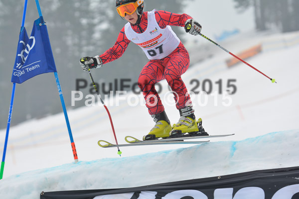 DSC U12 Finale 2015