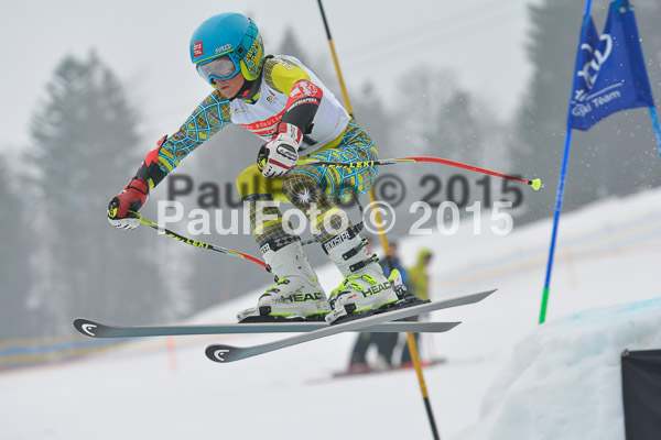 DSC U12 Finale 2015