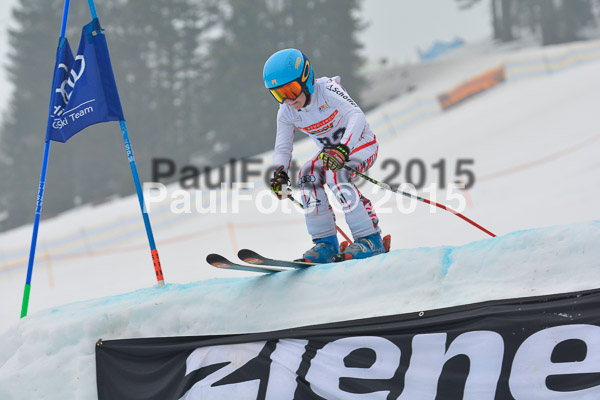 DSC U12 Finale 2015