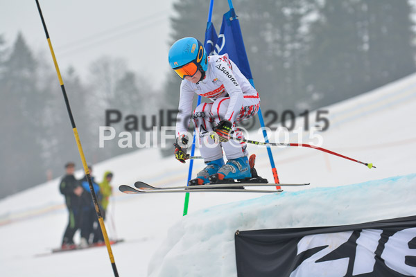 DSC U12 Finale 2015