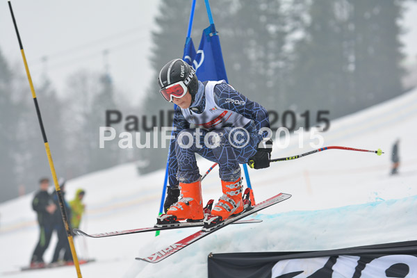 DSC U12 Finale 2015