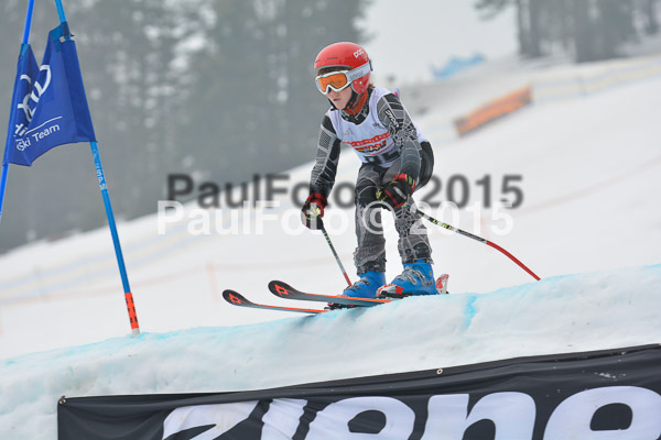 DSC U12 Finale 2015