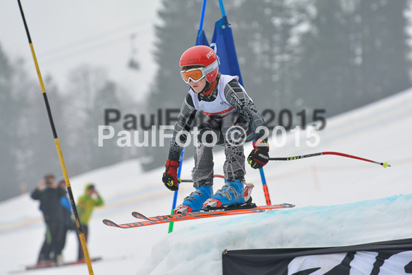 DSC U12 Finale 2015