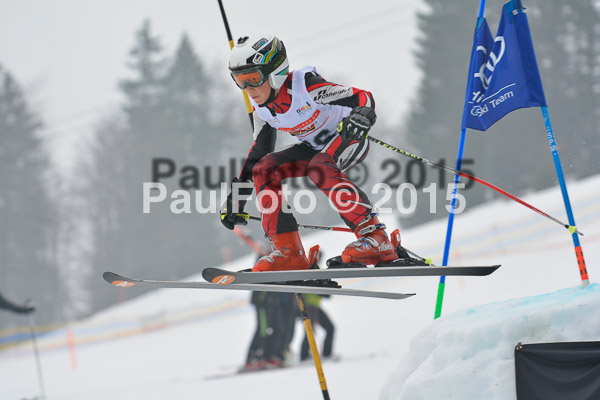 DSC U12 Finale 2015