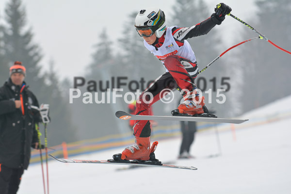 DSC U12 Finale 2015
