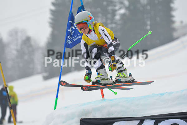 DSC U12 Finale 2015