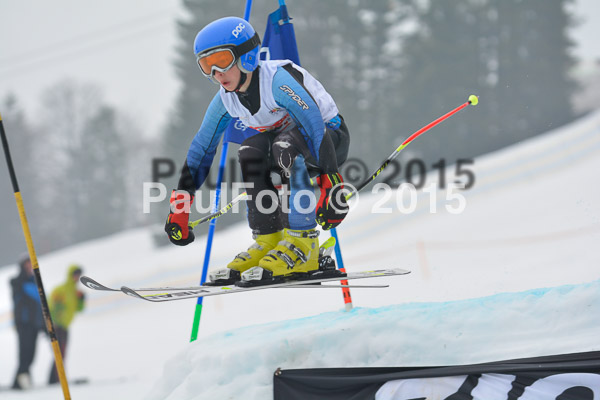 DSC U12 Finale 2015