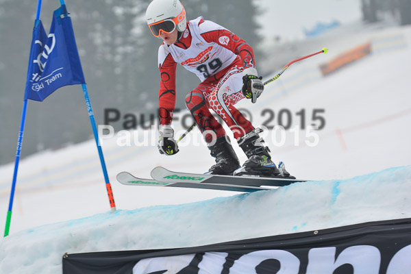 DSC U12 Finale 2015