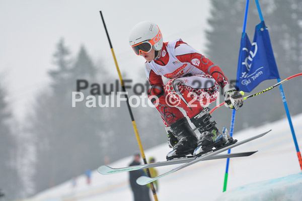 DSC U12 Finale 2015