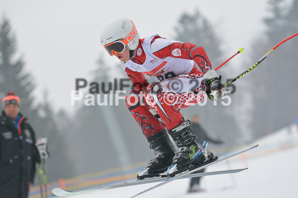 DSC U12 Finale 2015