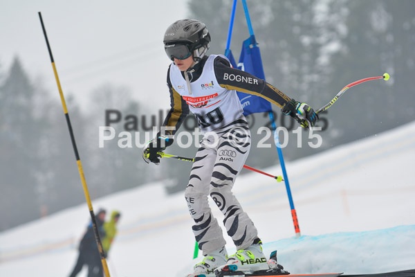 DSC U12 Finale 2015