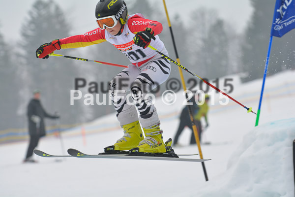DSC U12 Finale 2015