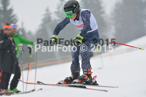 DSC U12 Finale 2015