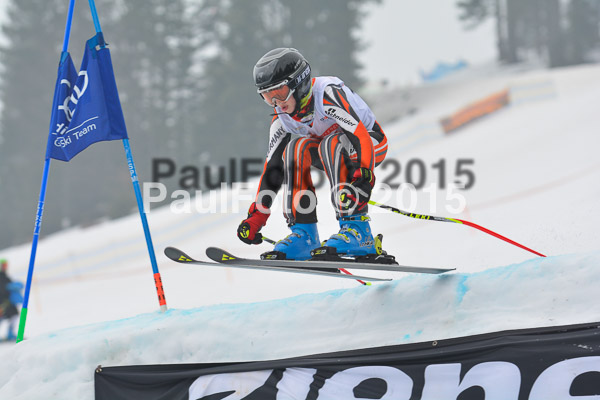 DSC U12 Finale 2015
