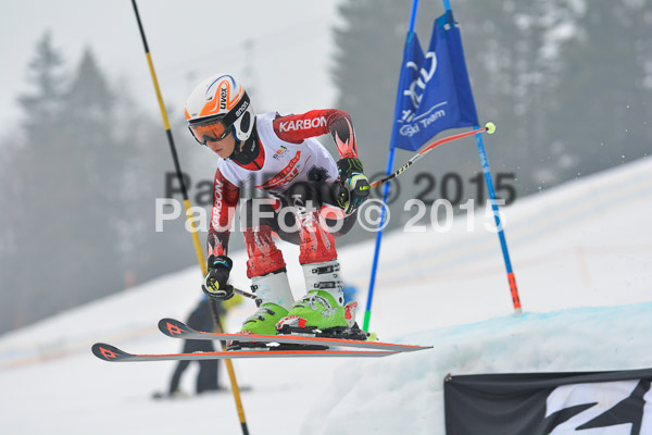 DSC U12 Finale 2015