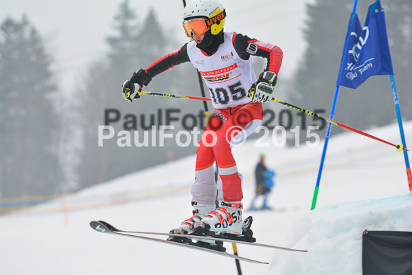 DSC U12 Finale 2015