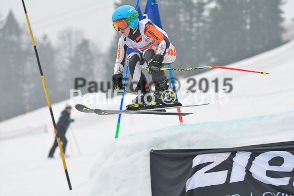 DSC U12 Finale 2015