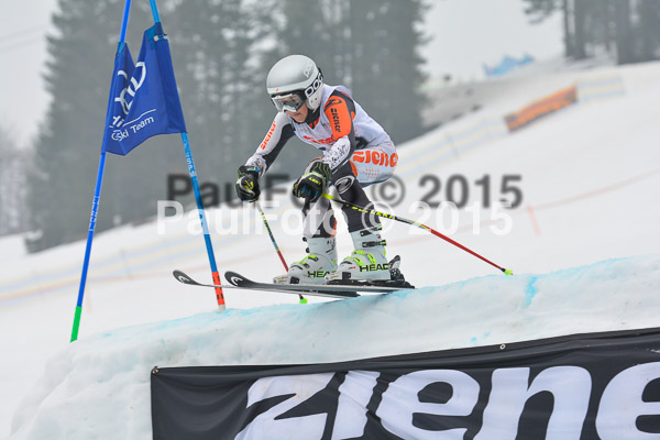DSC U12 Finale 2015