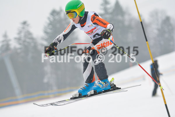 DSC U12 Finale 2015