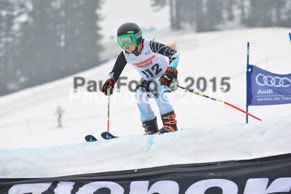 DSC U12 Finale 2015