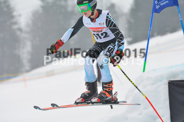 DSC U12 Finale 2015