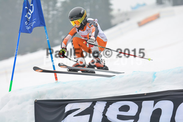 DSC U12 Finale 2015