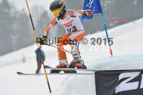 DSC U12 Finale 2015