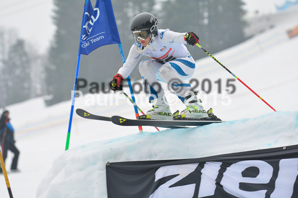 DSC U12 Finale 2015