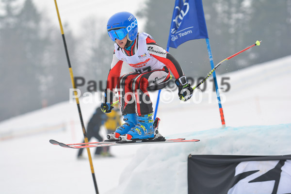 DSC U12 Finale 2015