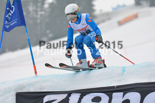 DSC U12 Finale 2015