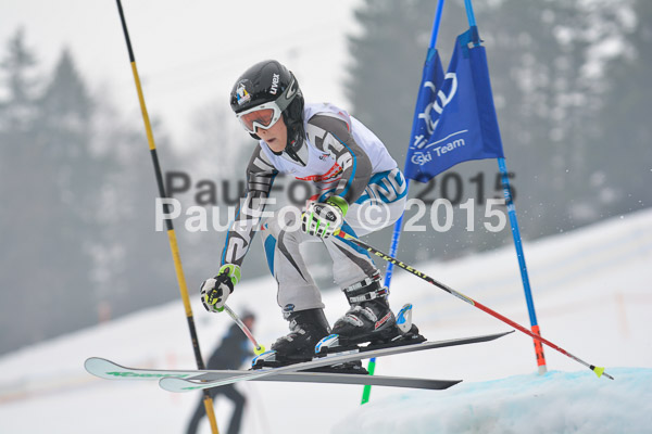 DSC U12 Finale 2015