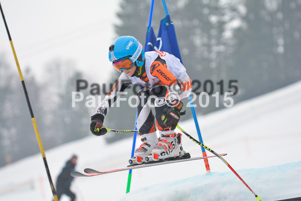 DSC U12 Finale 2015