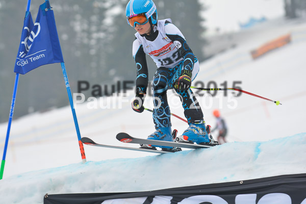 DSC U12 Finale 2015