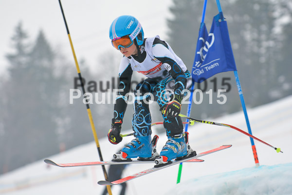 DSC U12 Finale 2015