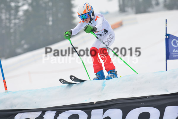 DSC U12 Finale 2015