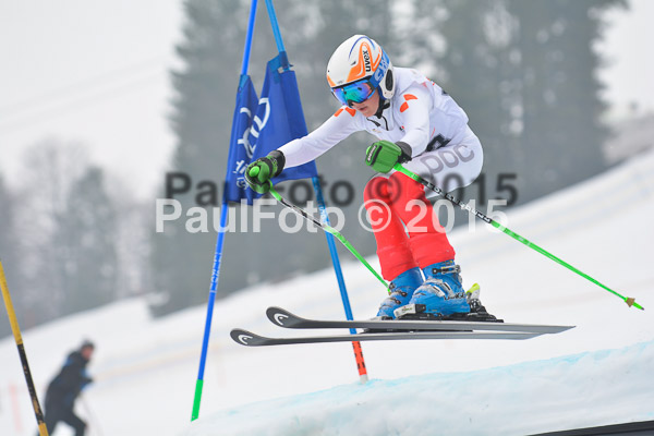 DSC U12 Finale 2015
