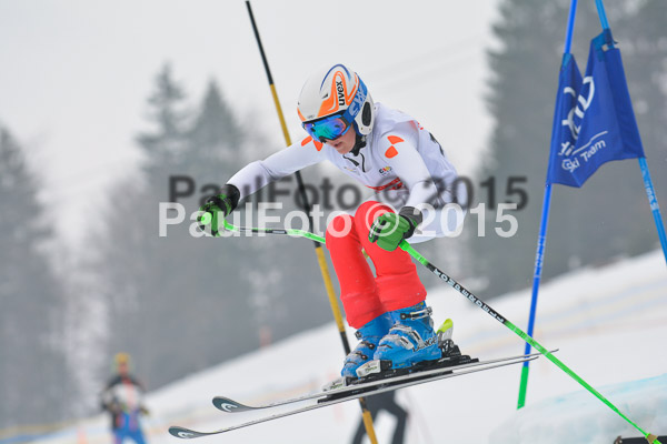 DSC U12 Finale 2015