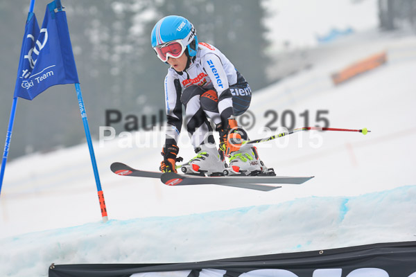 DSC U12 Finale 2015