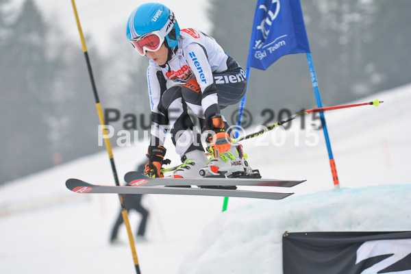 DSC U12 Finale 2015