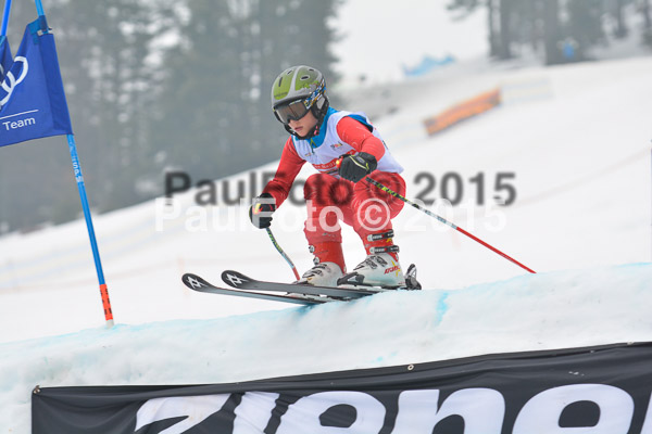 DSC U12 Finale 2015