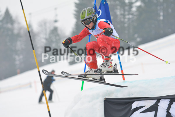 DSC U12 Finale 2015