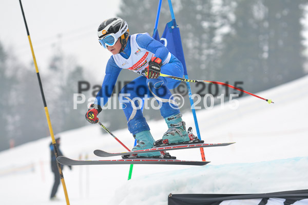 DSC U12 Finale 2015