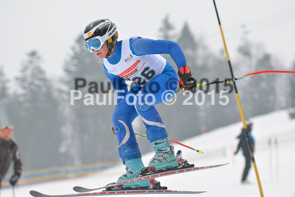 DSC U12 Finale 2015