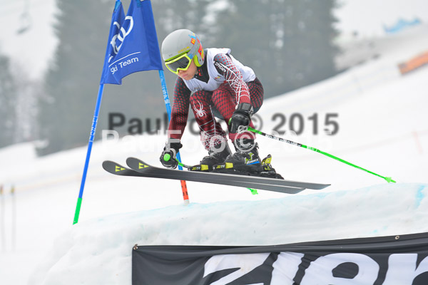 DSC U12 Finale 2015