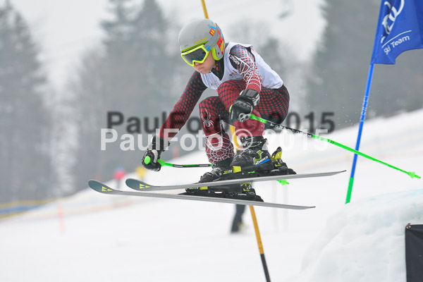 DSC U12 Finale 2015