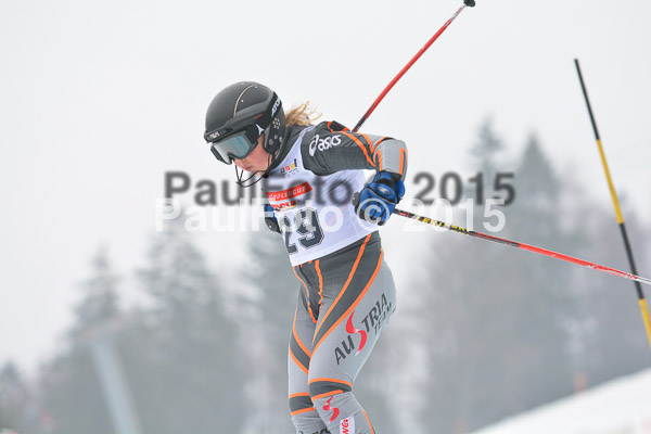 DSC U12 Finale 2015