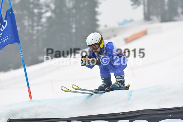 DSC U12 Finale 2015